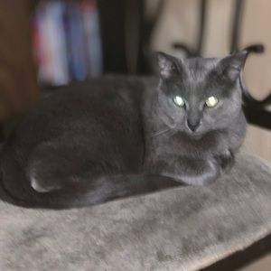 Meet your Posher, Christy